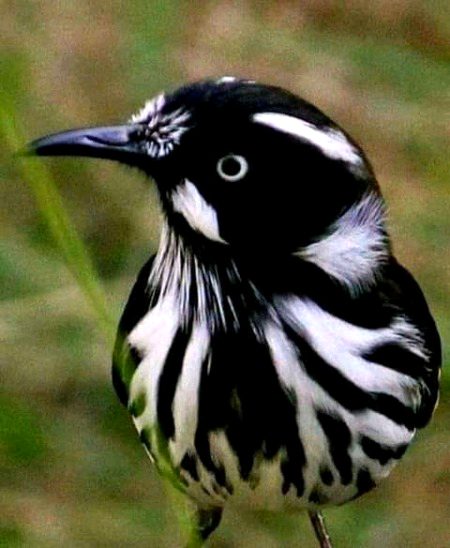 Beautiful Nature image