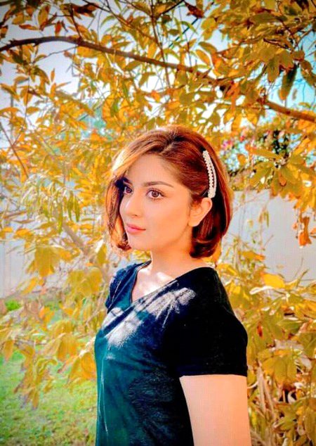 Pakistani Celebs image