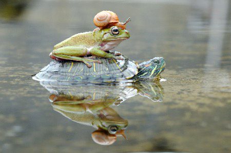 Beautiful Nature image