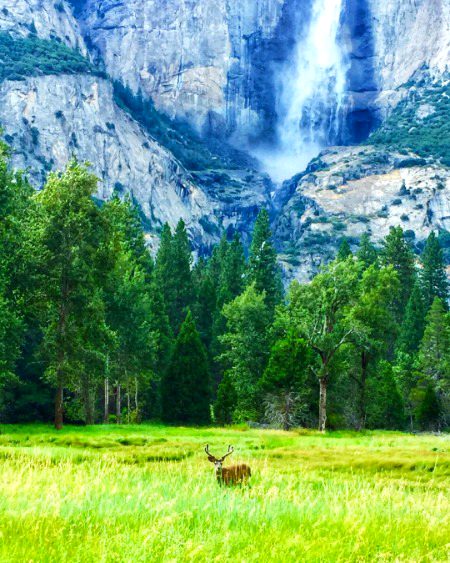 Beautiful Nature image