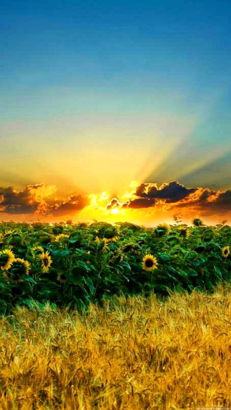 Beautiful Nature image