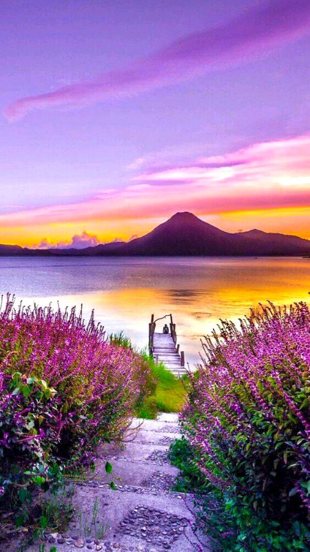 Beautiful Nature image