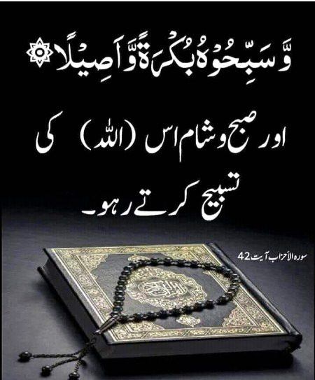 Islamic Quotes image