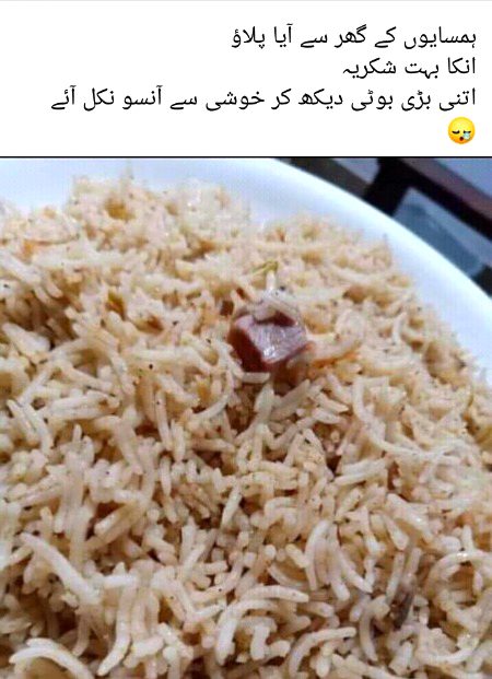 Memes & Satire image