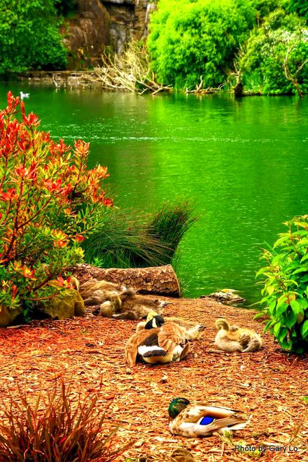 Beautiful Nature image