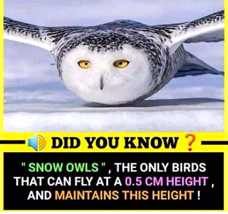 Interesting Posts image