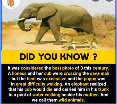 Interesting Posts image
