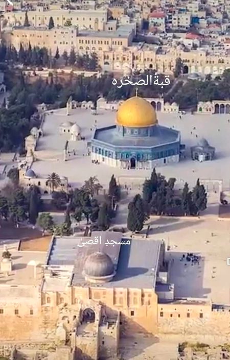 اپنی گود میں پالے ہیں پیغمبر اس نے.
مومن پر واجب ہے اقصی کا تحفظ کرنا.