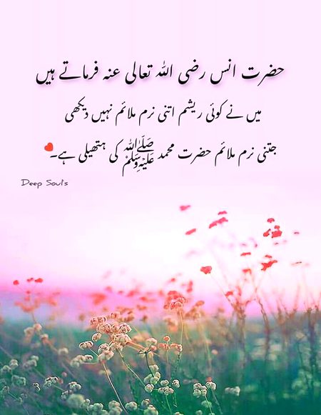 Islamic Quotes image