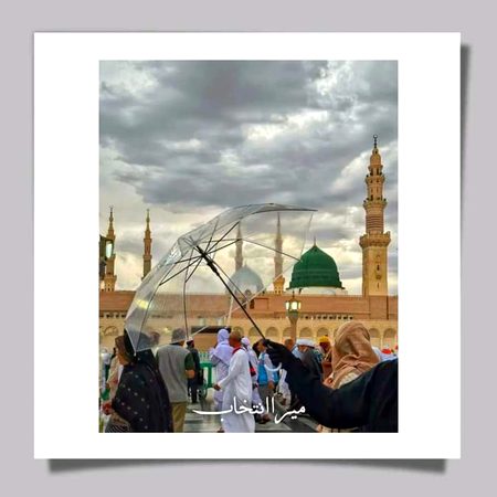 Beautiful Structures image