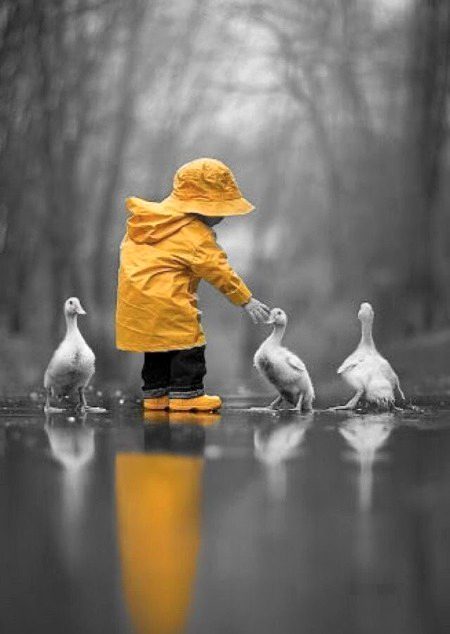 Beautiful Nature image