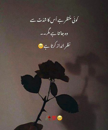 Sorry na kutiiii yar.