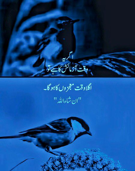 Motivational Quotes image