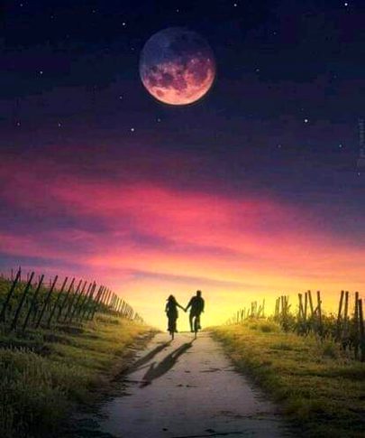 اداسیوں کا یہ موسم بدل بھی سکتا تھا🥀 
وہ چاھتا تو میرے ساتھ چل بھی سکتا تھا. 
وہ شخص تو نے جسکو چھوڑنے کی جلدی کی 
تیرے مزاج کے سانچے میں ڈھل بھی سکتا تھا .
وہ جلدباز خفا ہو کر چل دیا ورنہ 
تنازعات کا کوئی حل نکل بھی سکتا تھا.
انا نے ہاتھ اٹھانے نہیں دیا ورنہ 
میری دعا سے وہ پتھر پگھل بھی سکتا تھا.
تمام عمر تیرا منتظر رہا محسن 
یہ اور بات ہے کہ رستہ بدل بھی سکتا تھا🔥 Mahii 💔