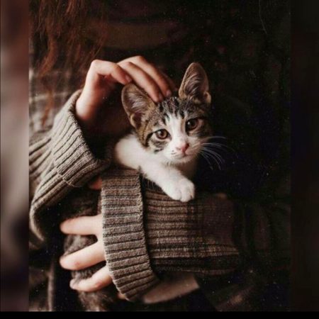 Beautiful Nature image