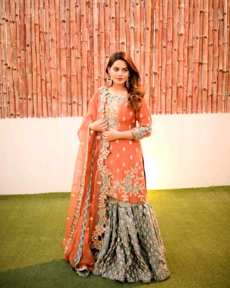 Pakistani Celebs image