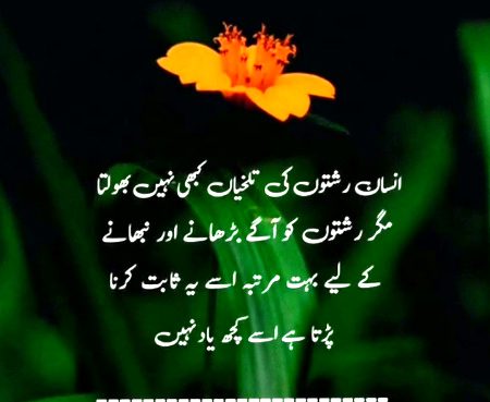 Waqt ka tqaza h ...ub khud ko khud tk mhdood kr lia jye