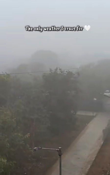 Beautiful Nature image