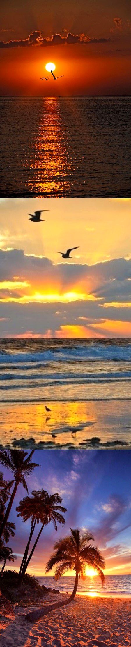 Beautiful Nature ❣️❤️❣️