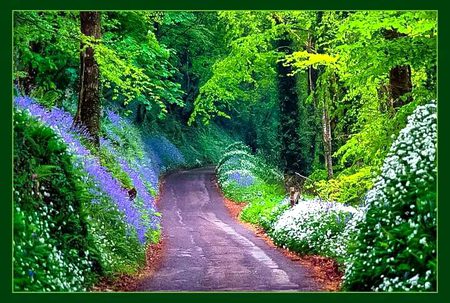 Beautiful Nature image