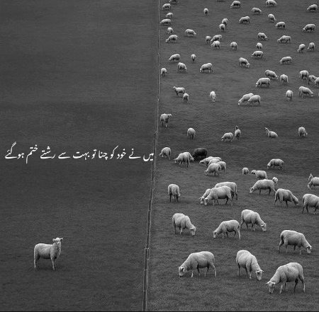 Reality... 🥲🙂