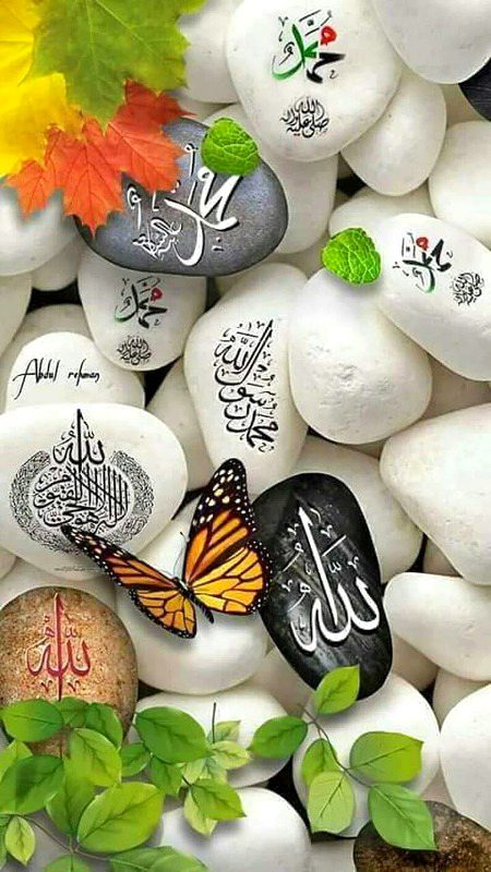 Islamic Quotes image