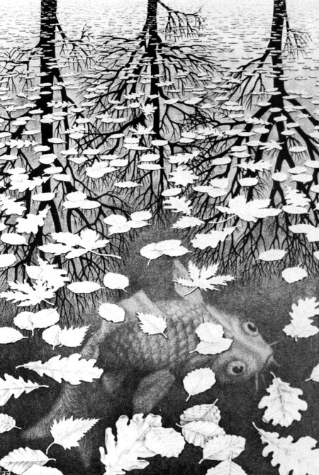 Beautiful Nature image