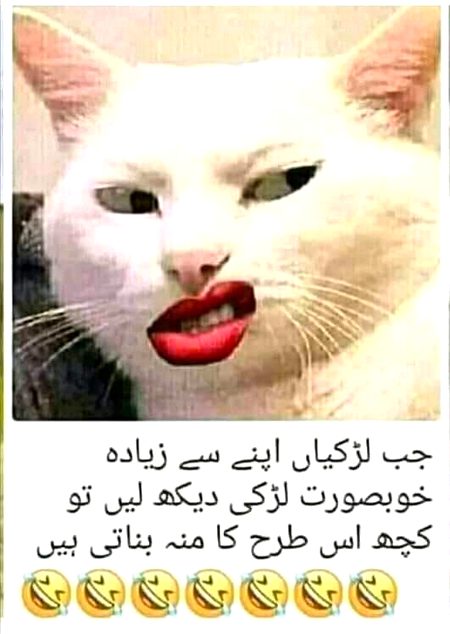 Jokes image