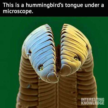 Interesting Posts image