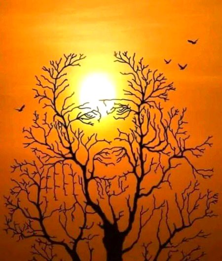 Beautiful Nature image