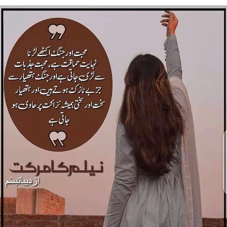 Romantic Novels image