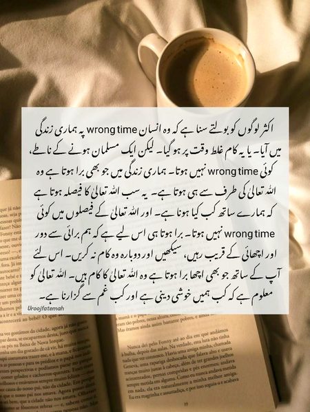 Beshak best ❤👌😊❣💞💝