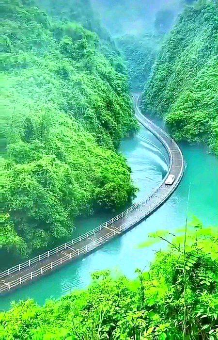 Beautiful Nature image