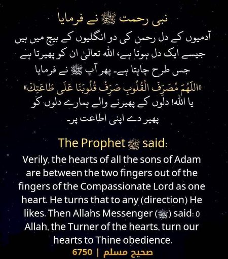 Islamic Quotes image
