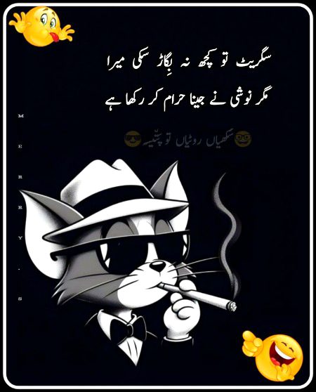 Memes & Satire image