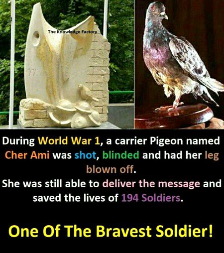 Interesting Posts image