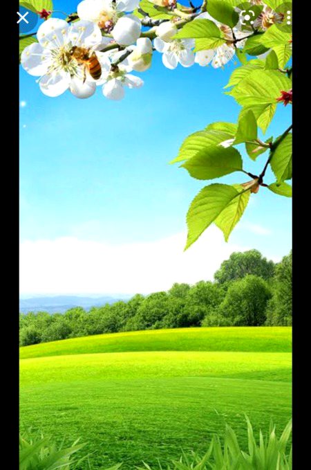 Beautiful Nature image