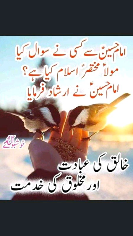 🌺🌻🌹🌺🌻🌹🌺🌻🌹