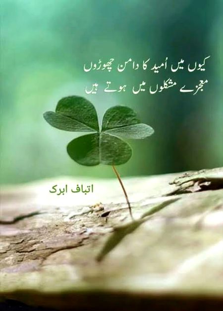 🍁Zoq_Shab🍁
