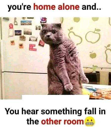 Memes & Satire image