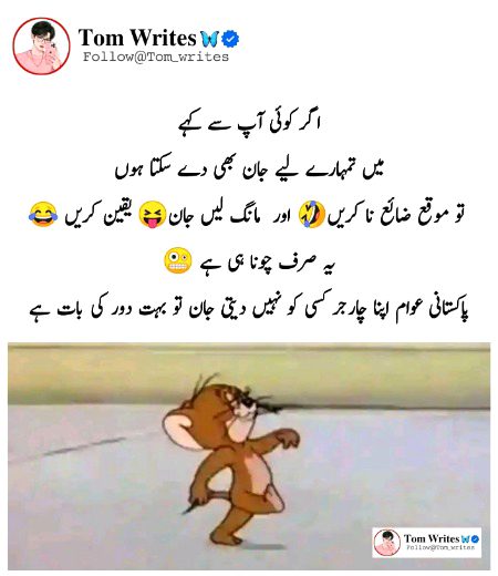 Memes & Satire image