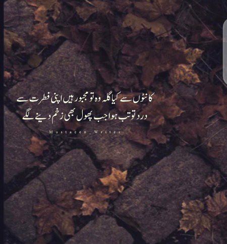Sad Poetry image