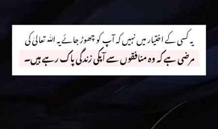 Attitude Quotes image