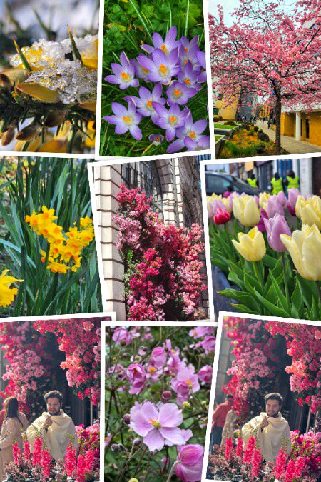 Beautiful Nature image