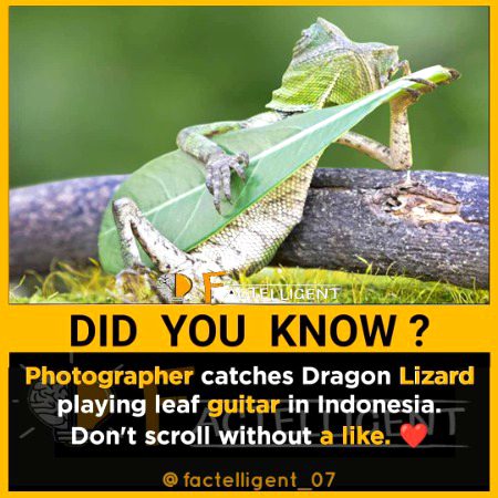 Interesting Posts image
