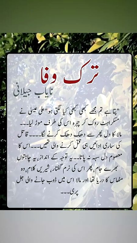 Romantic Novels image