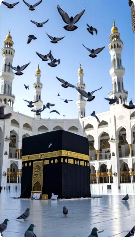 Beautiful Structures image