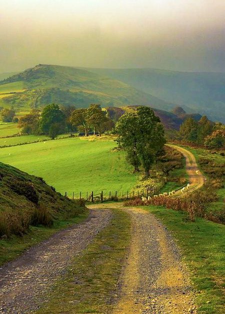 Beautiful Nature image