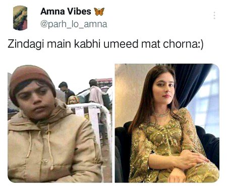 Memes & Satire image