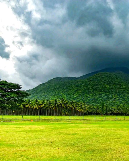 Beautiful Nature image